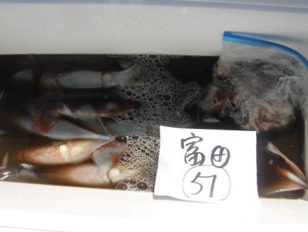 大進丸（愛知） 釣果