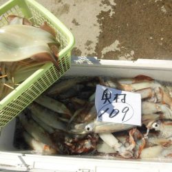 大進丸（愛知） 釣果