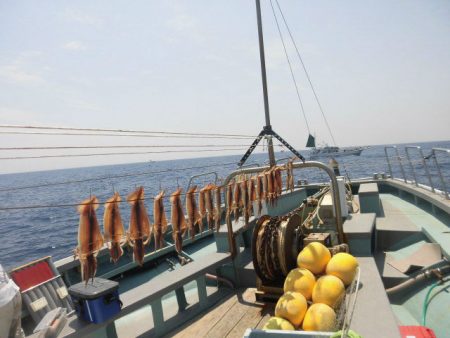 大進丸（愛知） 釣果