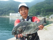 春日丸 釣果