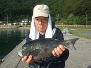 春日丸 釣果