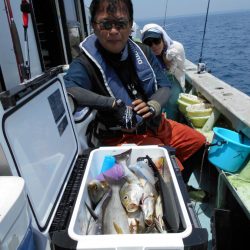 大進丸（愛知） 釣果