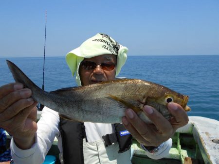 大進丸（愛知） 釣果