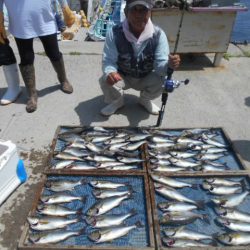 大進丸（愛知） 釣果