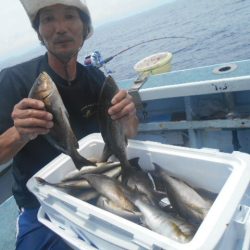 大進丸（愛知） 釣果