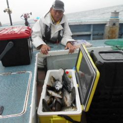 大進丸（愛知） 釣果