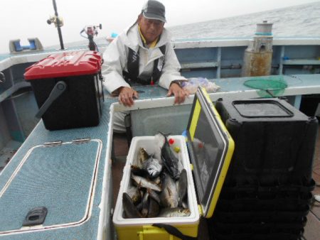 大進丸（愛知） 釣果