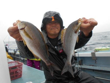 大進丸（愛知） 釣果