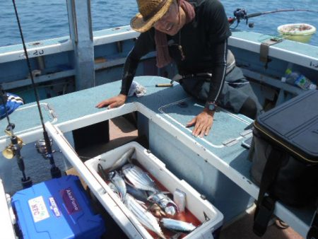 大進丸（愛知） 釣果