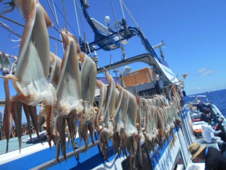 大進丸（愛知） 釣果