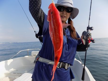 フィッシングボート空風（そらかぜ） 釣果