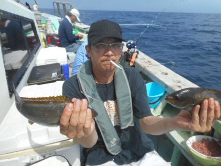 大進丸（愛知） 釣果