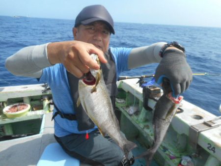 大進丸（愛知） 釣果