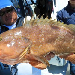 Fisherman Dreams DI 釣果