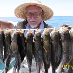 まとばや 釣果