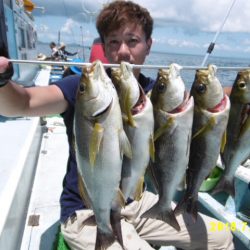 まとばや 釣果