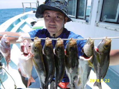 まとばや 釣果