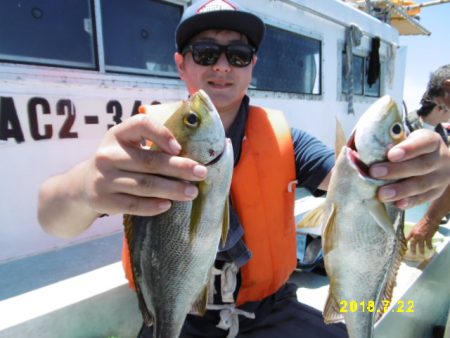 まとばや 釣果