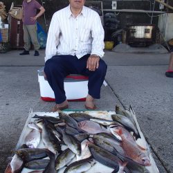 久六釣船 釣果