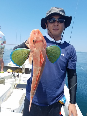 遊漁船　ニライカナイ 釣果