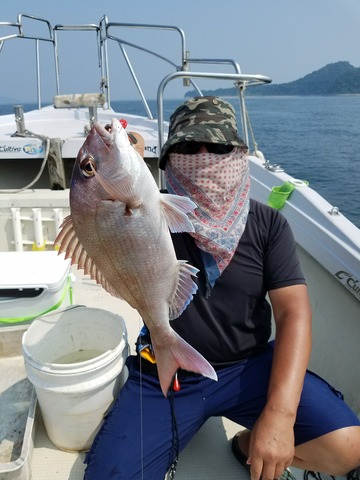 遊漁船　ニライカナイ 釣果