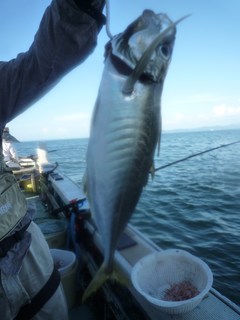 松福丸 釣果