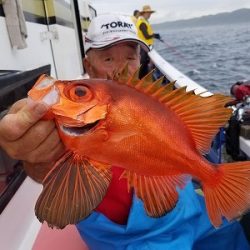 しまや丸 釣果