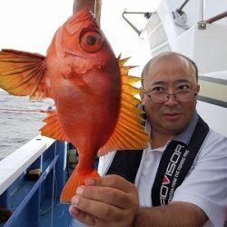 しまや丸 釣果