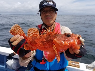 しまや丸 釣果