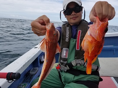 しまや丸 釣果