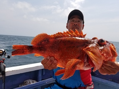 しまや丸 釣果