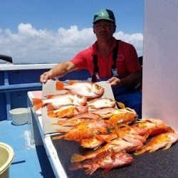 しまや丸 釣果