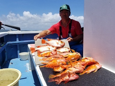 しまや丸 釣果