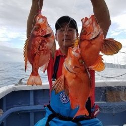 しまや丸 釣果