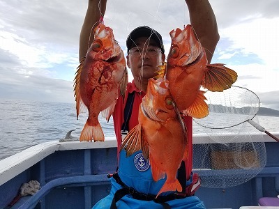 しまや丸 釣果