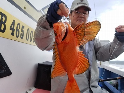 しまや丸 釣果