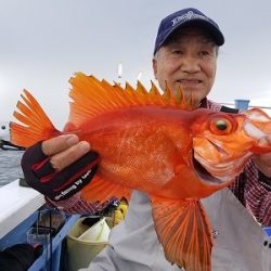 しまや丸 釣果