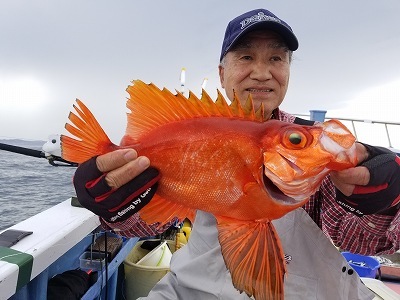 しまや丸 釣果