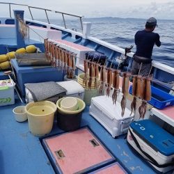 しまや丸 釣果