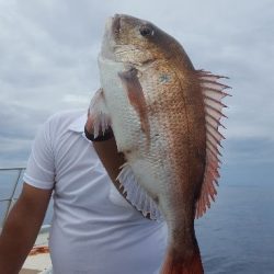 海峰 釣果