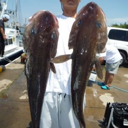 浅間丸 釣果