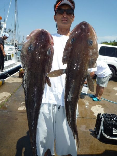 浅間丸 釣果