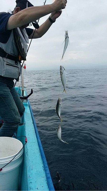 宝昌丸 釣果