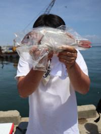 魚英 釣果