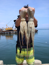 魚英 釣果