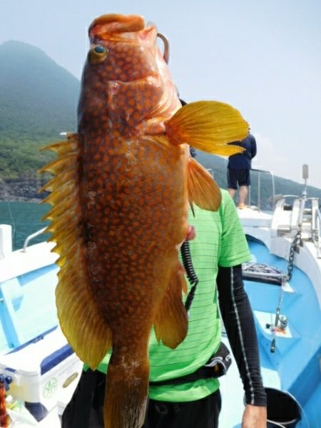 海晴丸 釣果