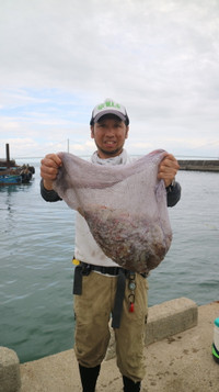 魚英 釣果