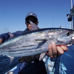 松鶴丸 釣果