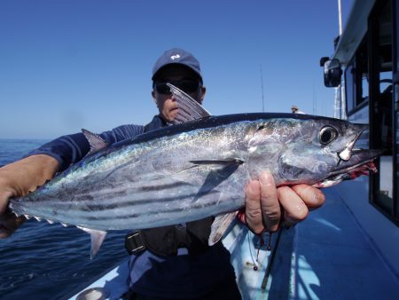 松鶴丸 釣果