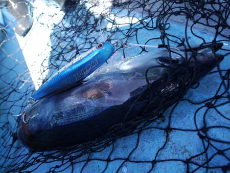 松鶴丸 釣果